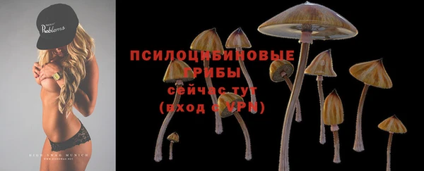 скорость Новокубанск