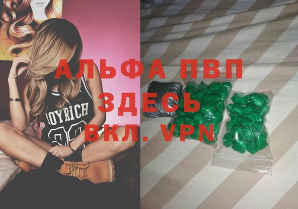 спиды Новозыбков