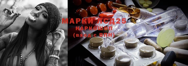 спиды Новозыбков