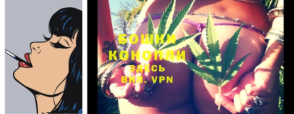 спиды Новозыбков