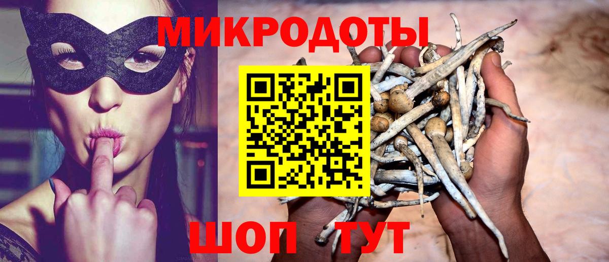 Псилоцибиновые грибы мицелий Сызрань