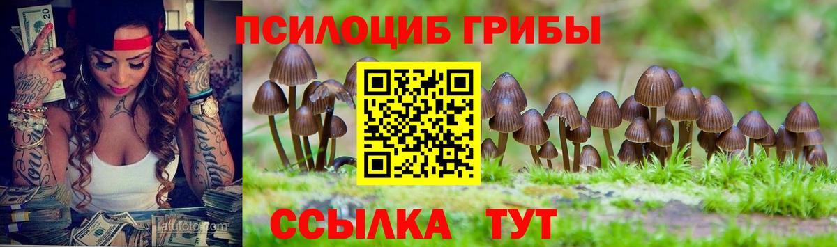 Галлюциногенные грибы мицелий  Псилоцибиновые грибы прущие грибы  Сызрань  наркота  Вход с VPN 